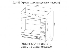 ДМ-16 Кровать двухъярусная с ящиком в Верхней Туре - verhnyaya-tura.magazin-mebel74.ru | фото