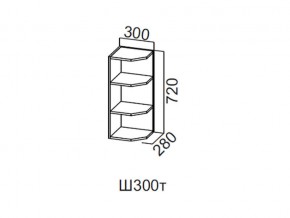 Ш300т/720 Шкаф навесной 300/720 (торцевой) в Верхней Туре - verhnyaya-tura.magazin-mebel74.ru | фото