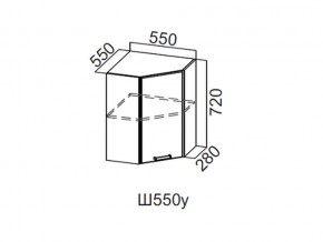 Ш550у/720 Шкаф навесной 550/720 (угловой) в Верхней Туре - verhnyaya-tura.magazin-mebel74.ru | фото