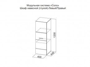 Шкаф навесной (глухой) Левый в Верхней Туре - verhnyaya-tura.magazin-mebel74.ru | фото