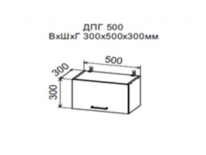 Шкаф верхний ДПГ500 горизонтальный в Верхней Туре - verhnyaya-tura.magazin-mebel74.ru | фото