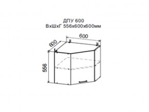 Шкаф верхний ДПУ600 угловой в Верхней Туре - verhnyaya-tura.magazin-mebel74.ru | фото